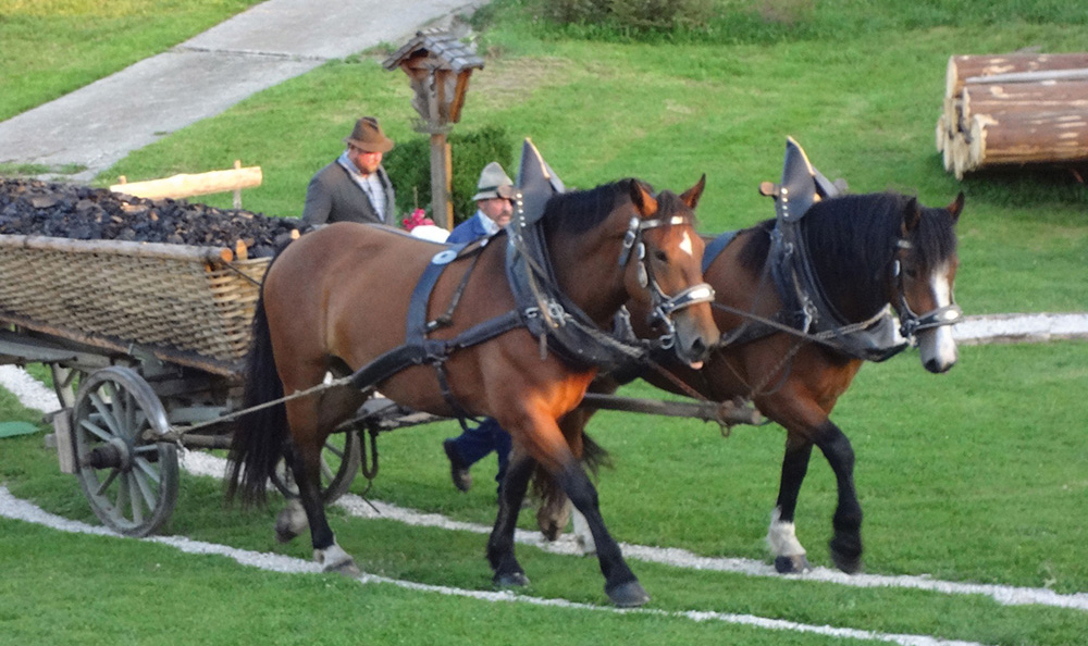 Pferdewagen mit Holzkohle